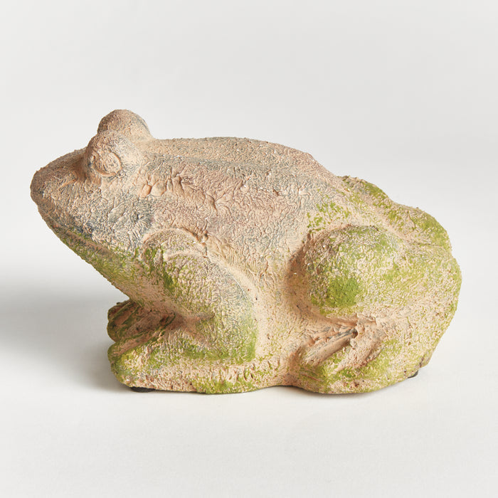 Weathered Garden Frog - View 4