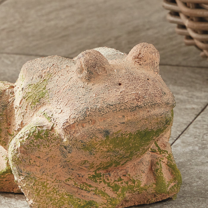 Weathered Garden Frog - View 6