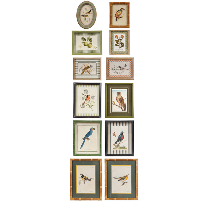 Wood Framed Glass Wall Decor with Birds and Botanicals, Set of 12